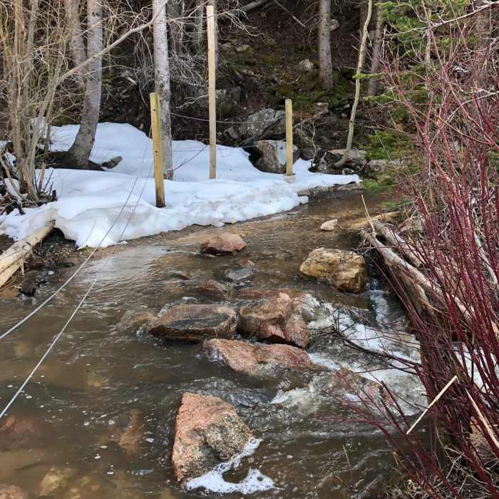 Near Bridle Trail