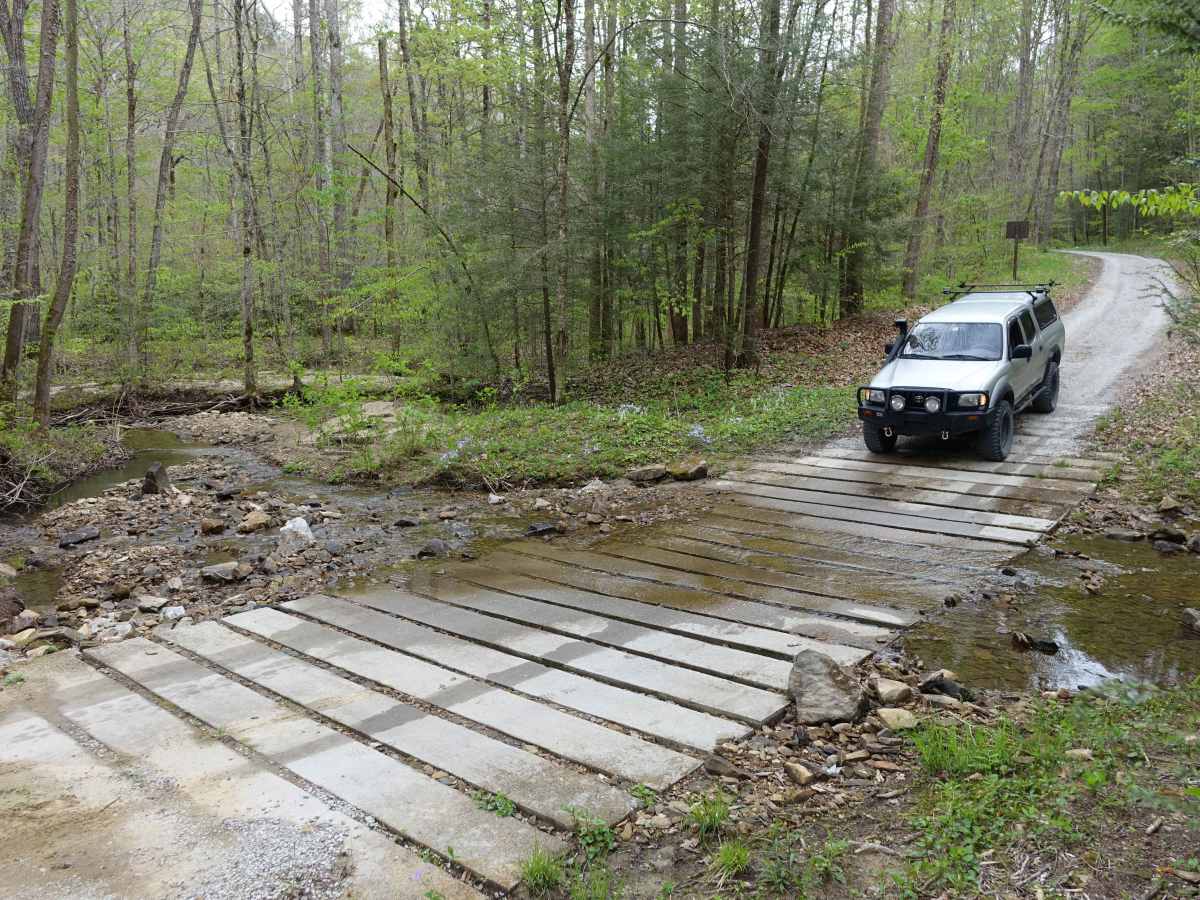 Woods Road photo 2