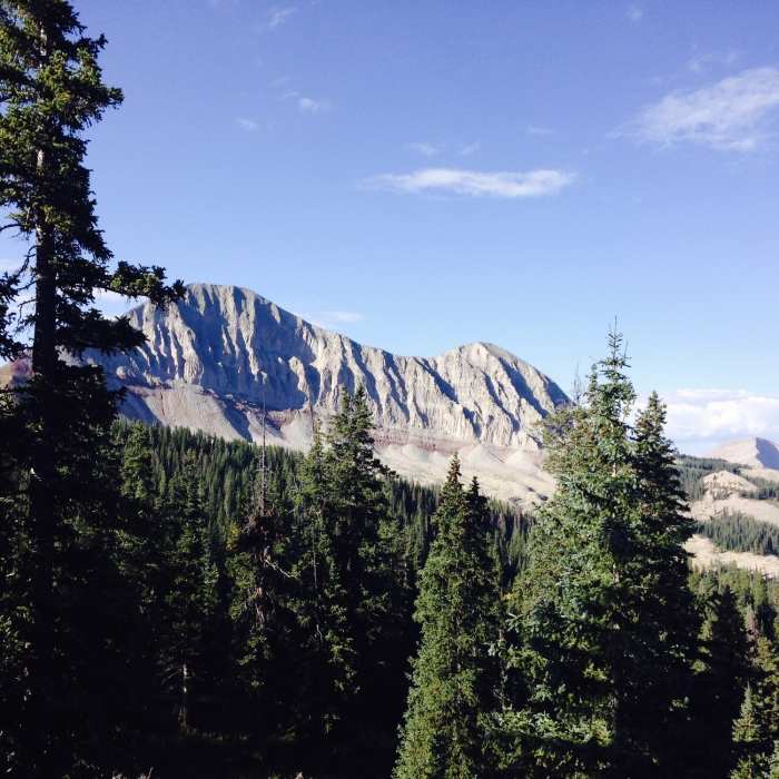 Near White Creek Trail