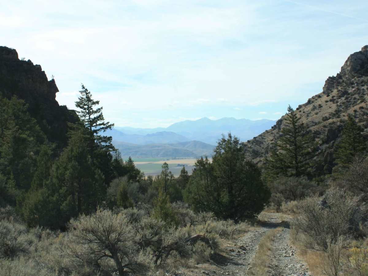 Jaggles Canyon photo 2