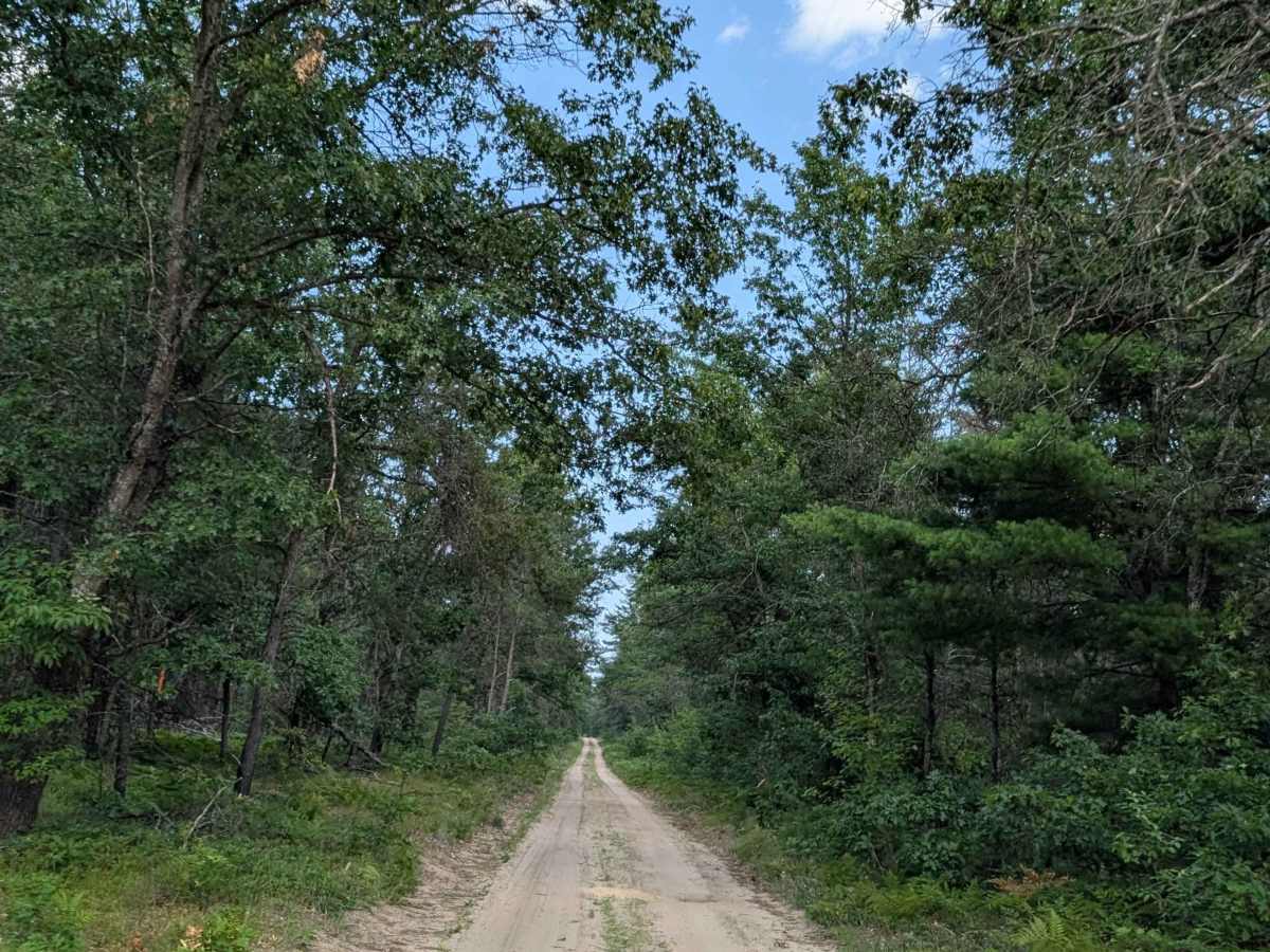 Webb Road - FS 4407 trail photo
