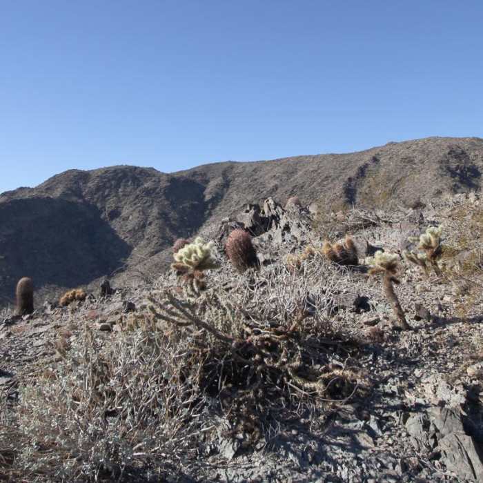 Near Pyramid Trail Hike