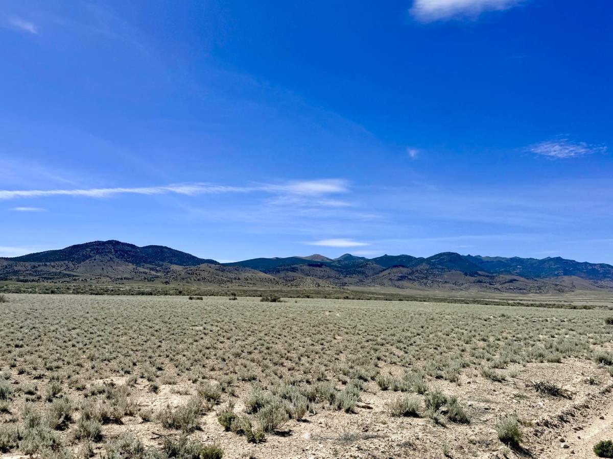 North Antelope Valley Road photo 5