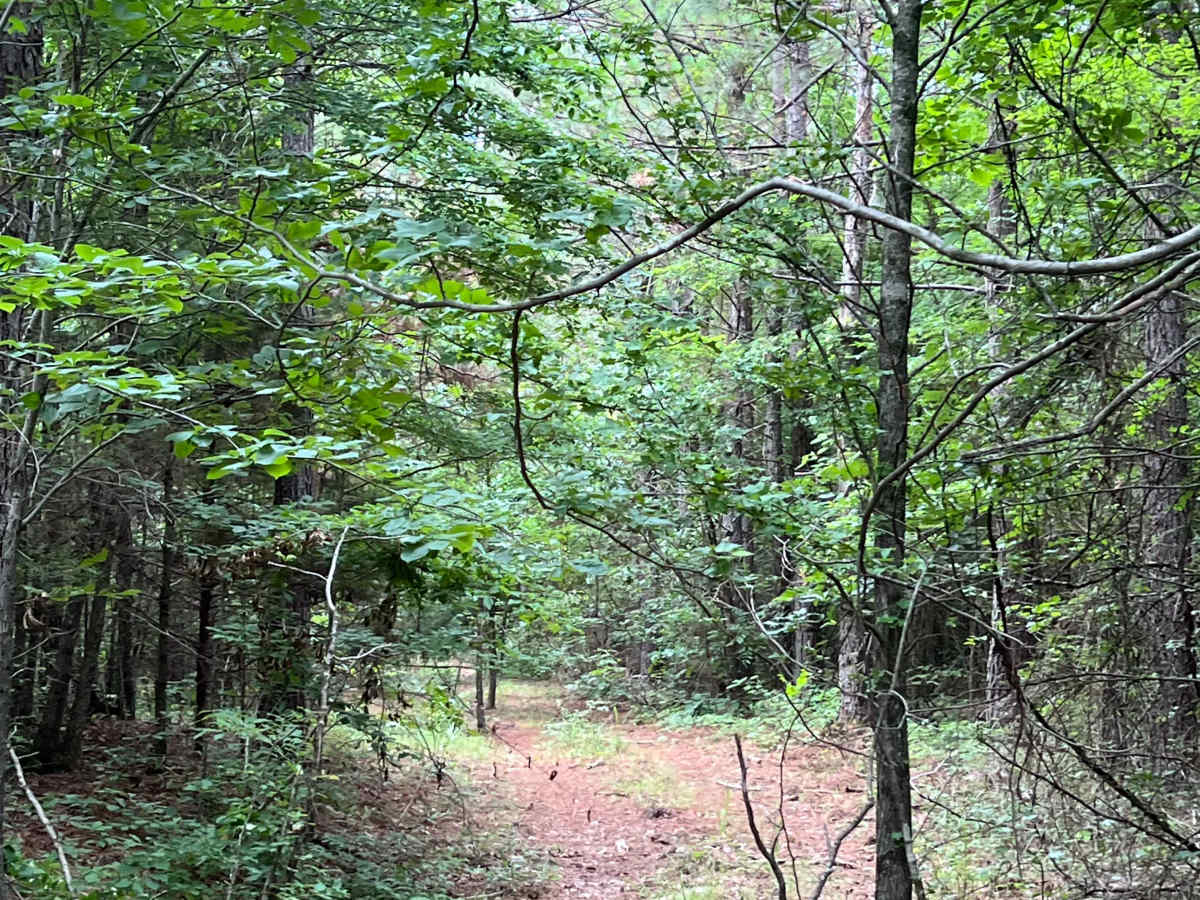 Mikles Run - FS 94364A photo 2