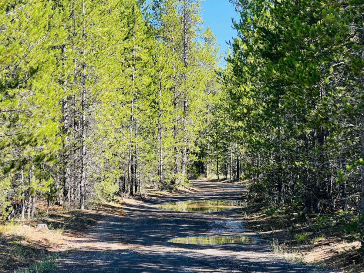 Stage Trail photo 3