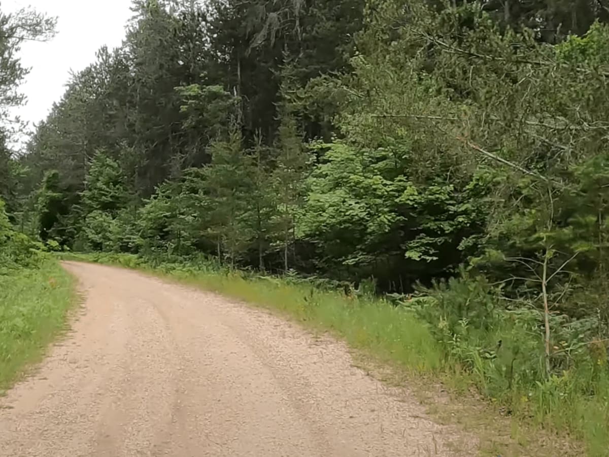 FS 5715 trail photo