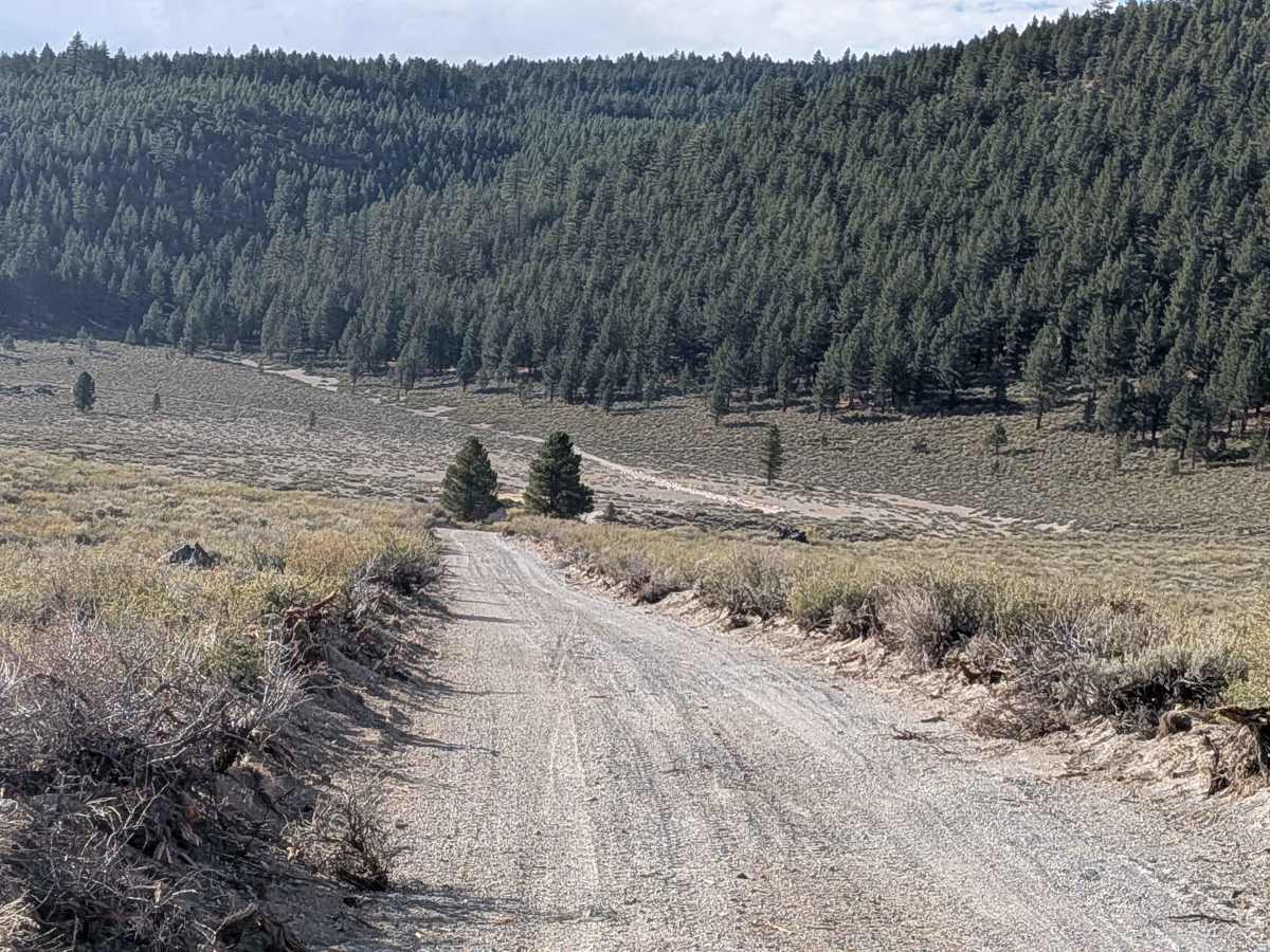 FS 2S142  trail photo