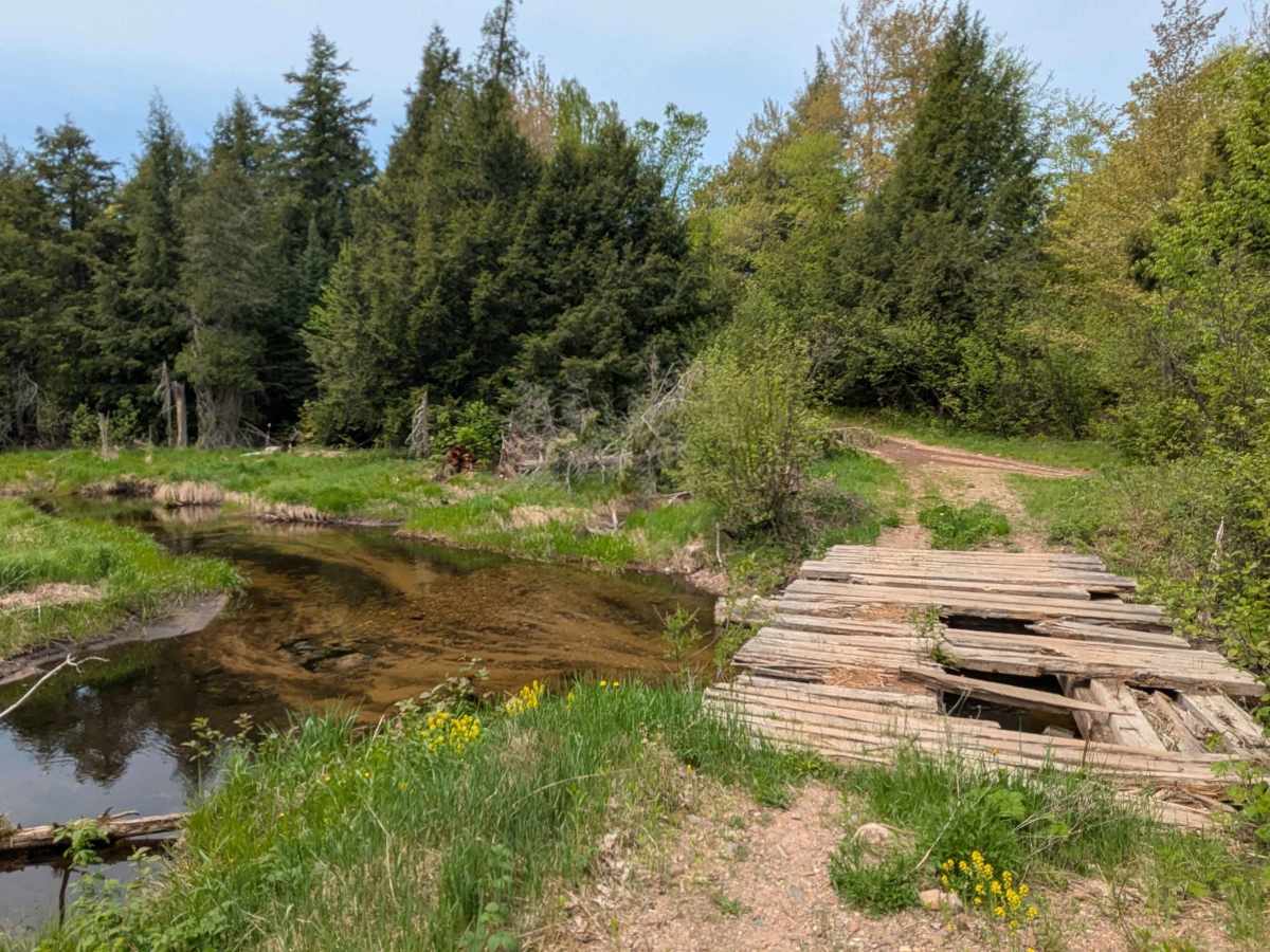 Northwestern Trail photo 6
