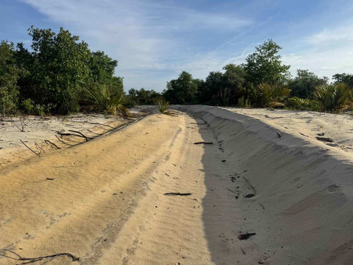 Sand Maze Trail photo 3