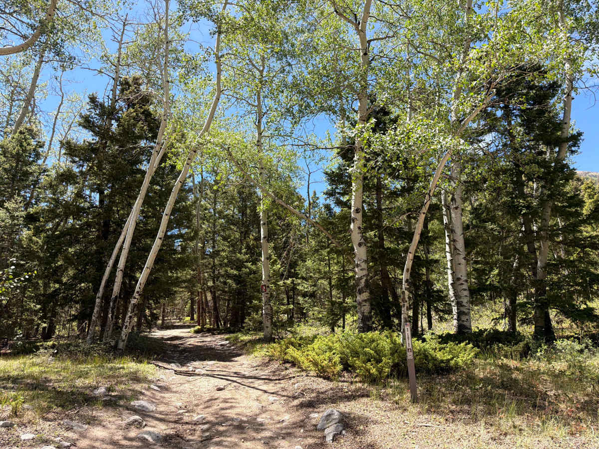 Old Chalk Creek Road photo 4