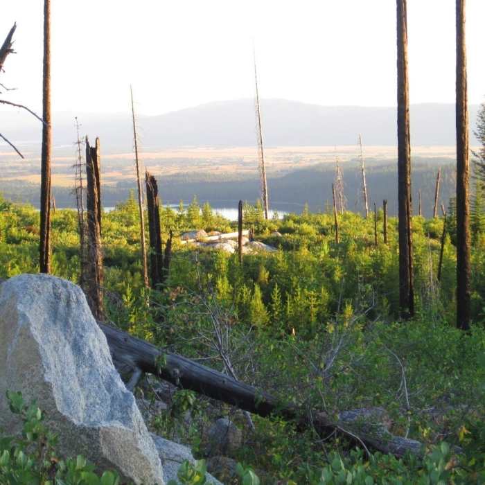 Near Blackwell Lake Loop