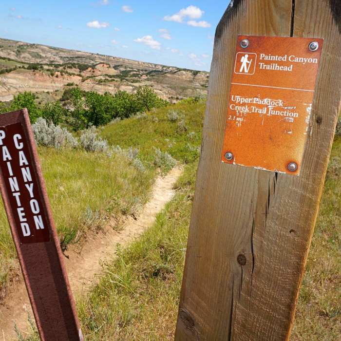 Near Painted Canyon Visitor Center Trails