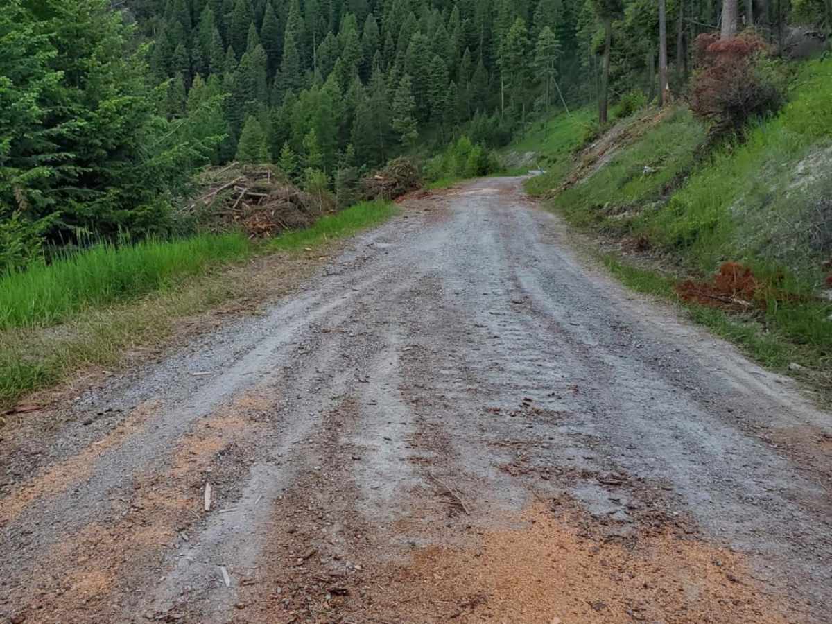 Patrick Creek to Emmons Creek photo 3