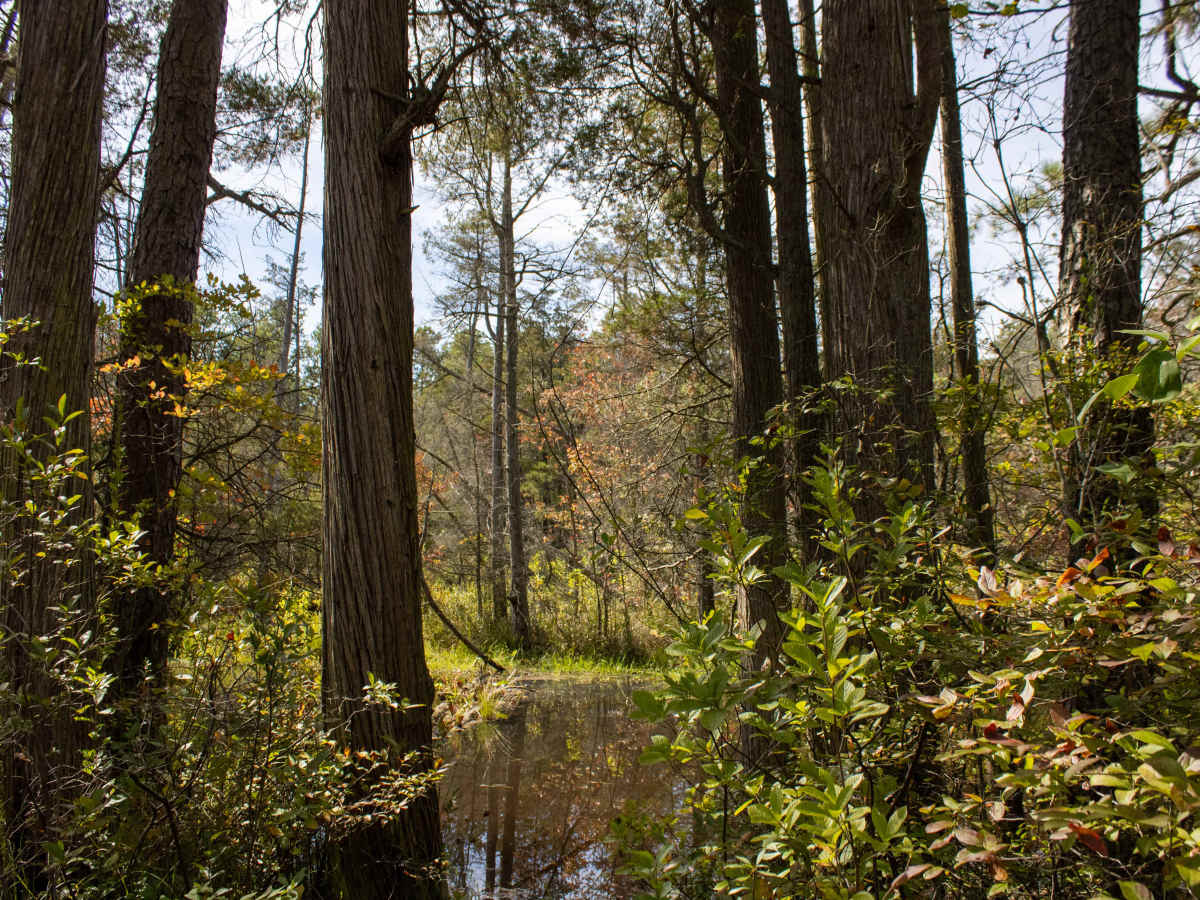 Little Mill Road photo 6