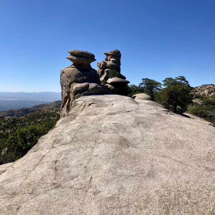 Near Bug Springs Trail Near Bug Springs Trail