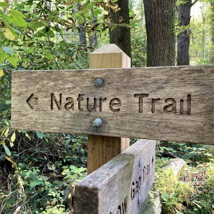 Near Cosby Nature Trail Near Cosby Nature Trail