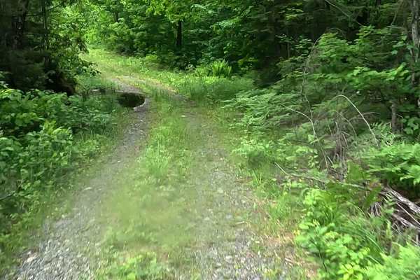 Wolf Lake Road Spur