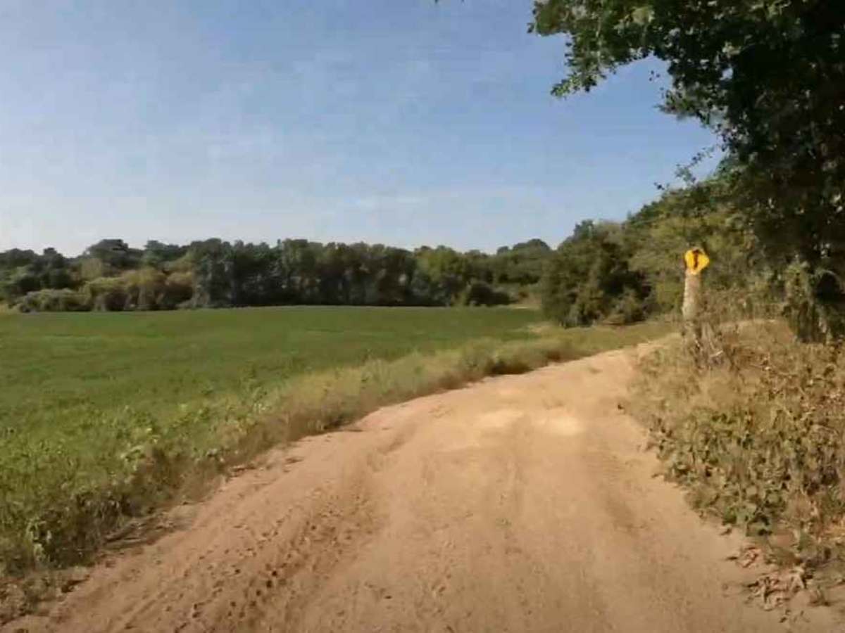 Chatfield SW ATV Loop photo 5