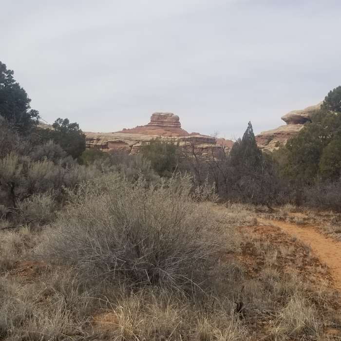 Near Lost Canyon Trail