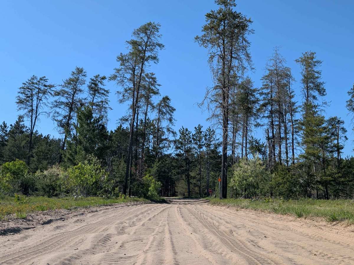 Devil Creek Road (Kalkaska Route - KKR) photo 5