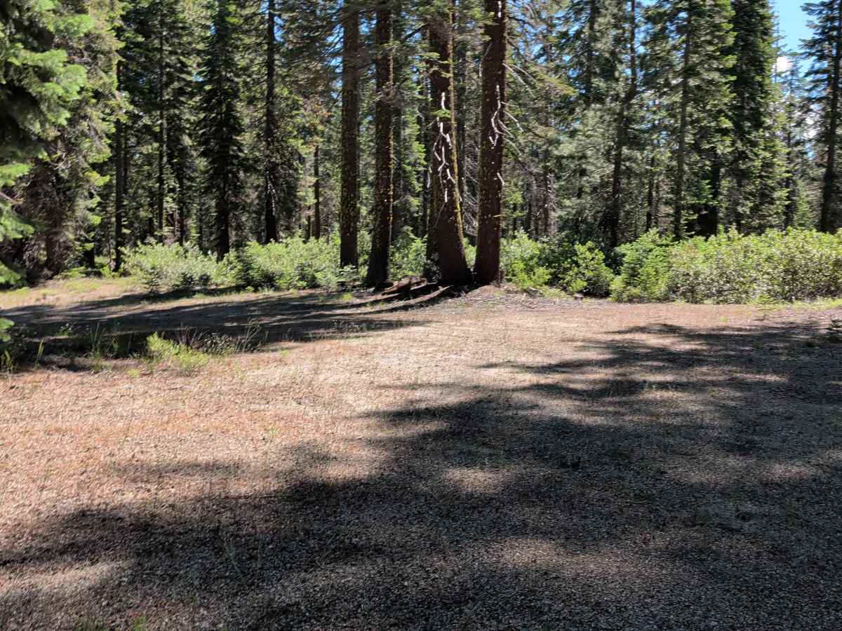 Lost Spring "Pigs Ear" East - FS 43N04 photo 4