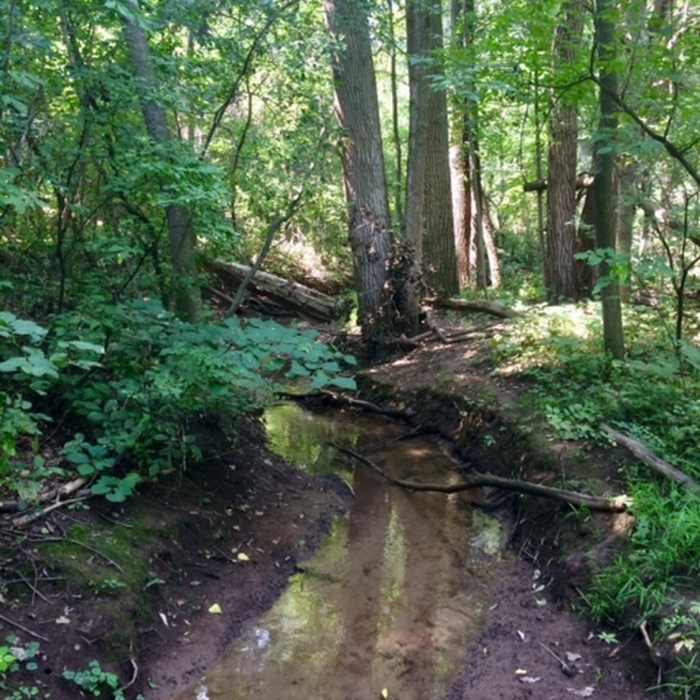 Near University of Wisconsin-Green Bay Cofrin Arboretum