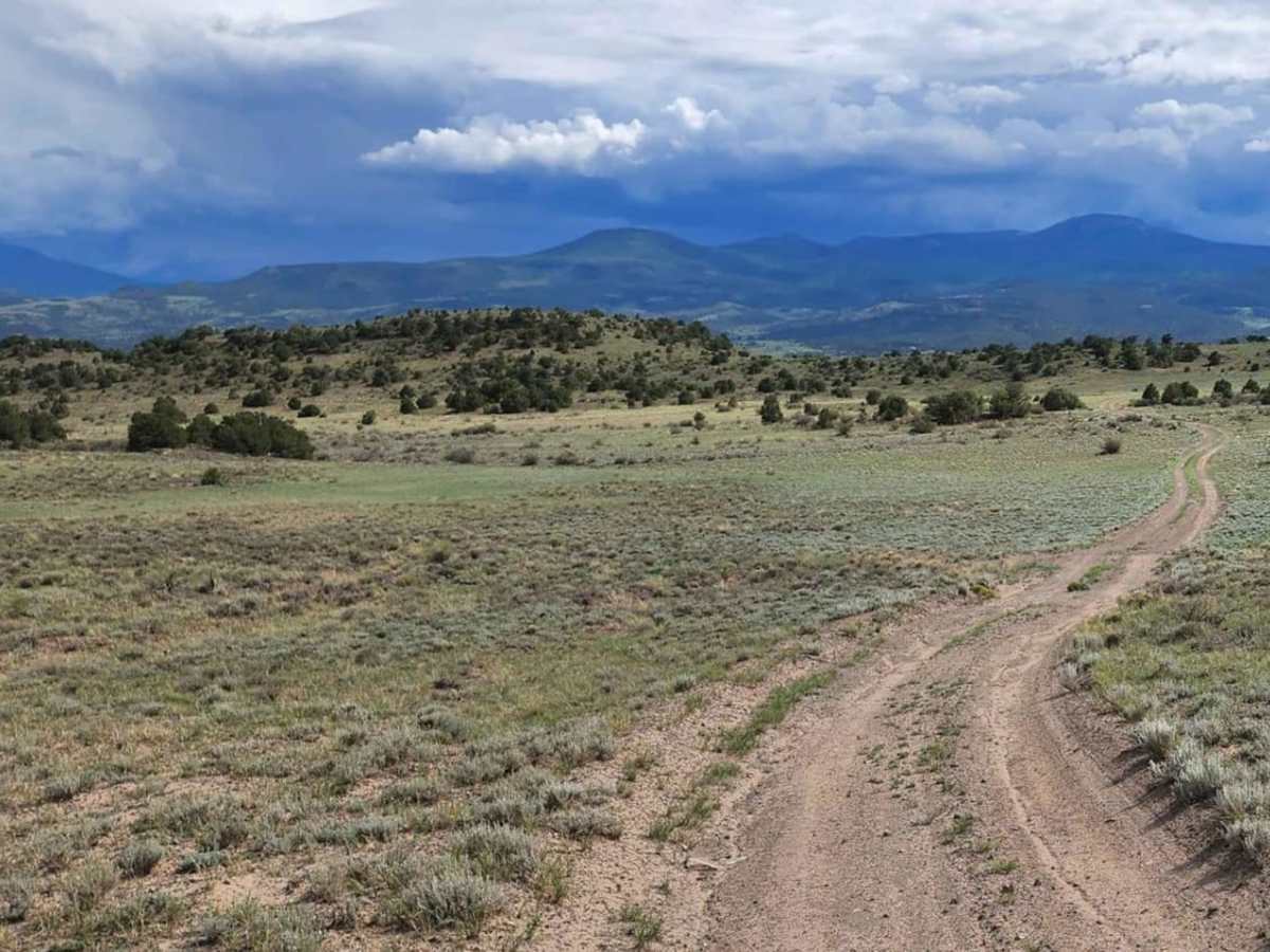 Pinon trail photo