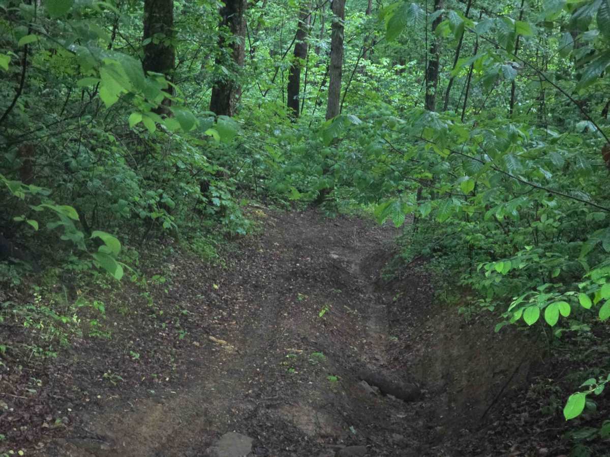 Trail 12 photo 3