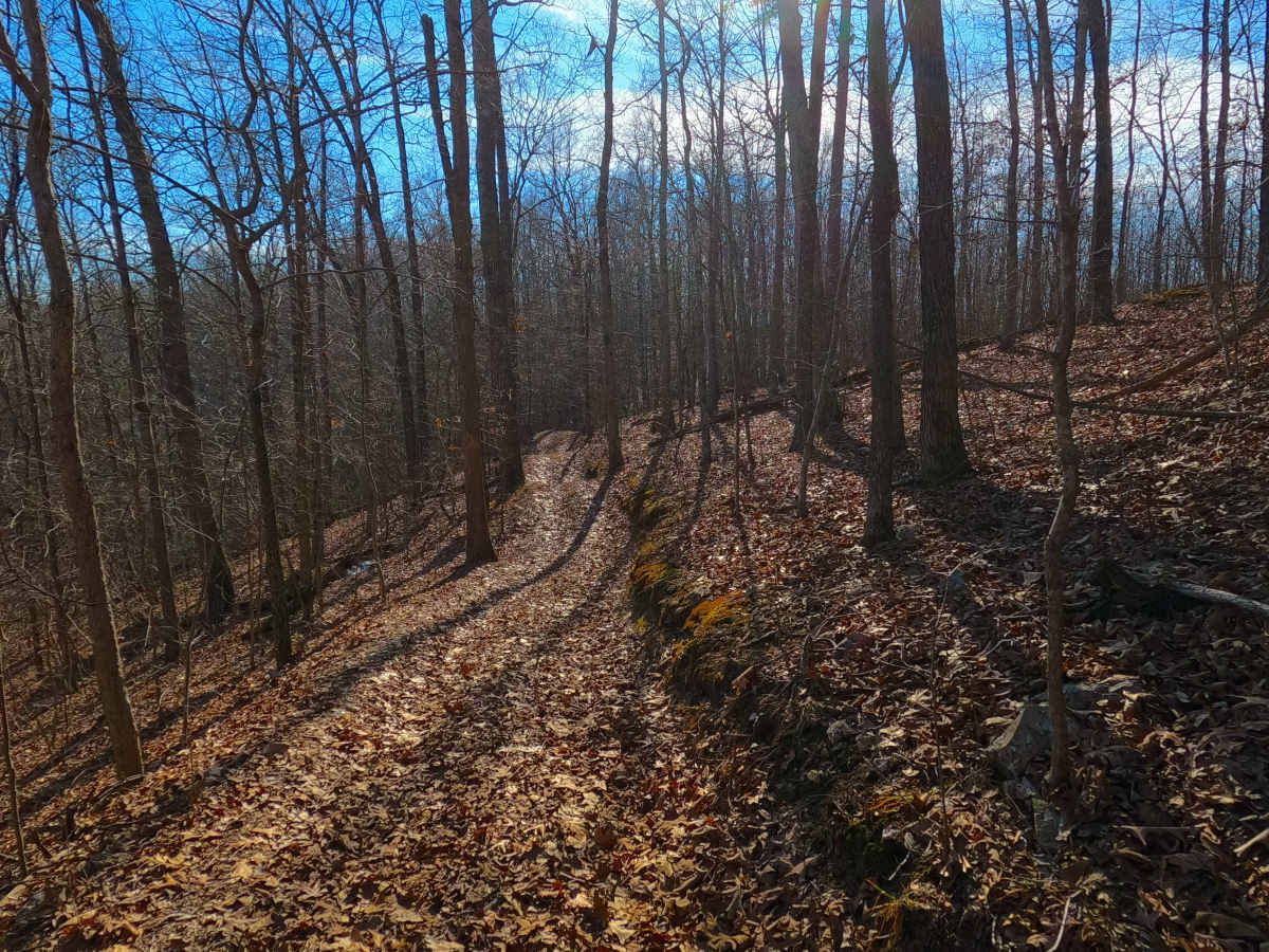 Sutton Bluff ATV 1 - SB 1 photo 4
