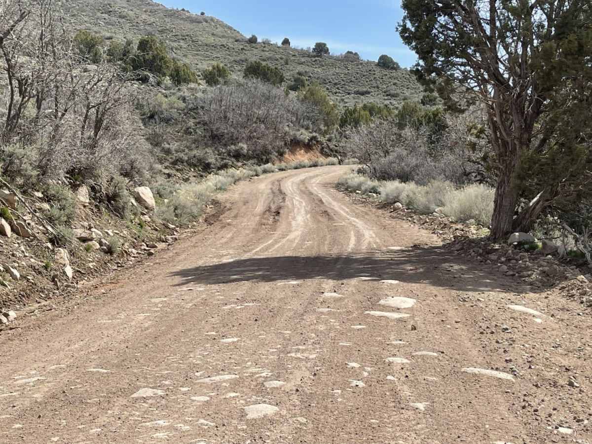 Ox Valley Road photo 5