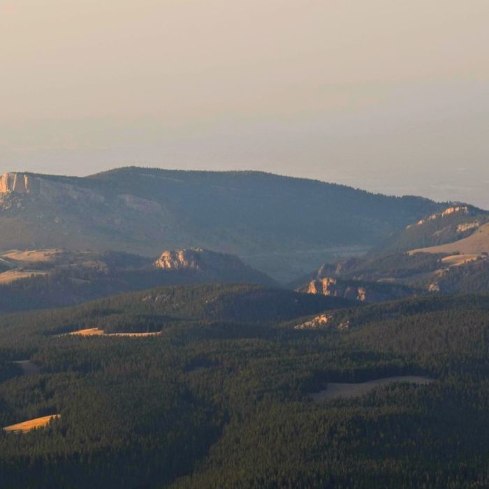 Near Black Mountain Lookout