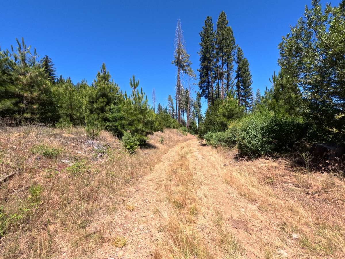 FS 1S36 trail photo