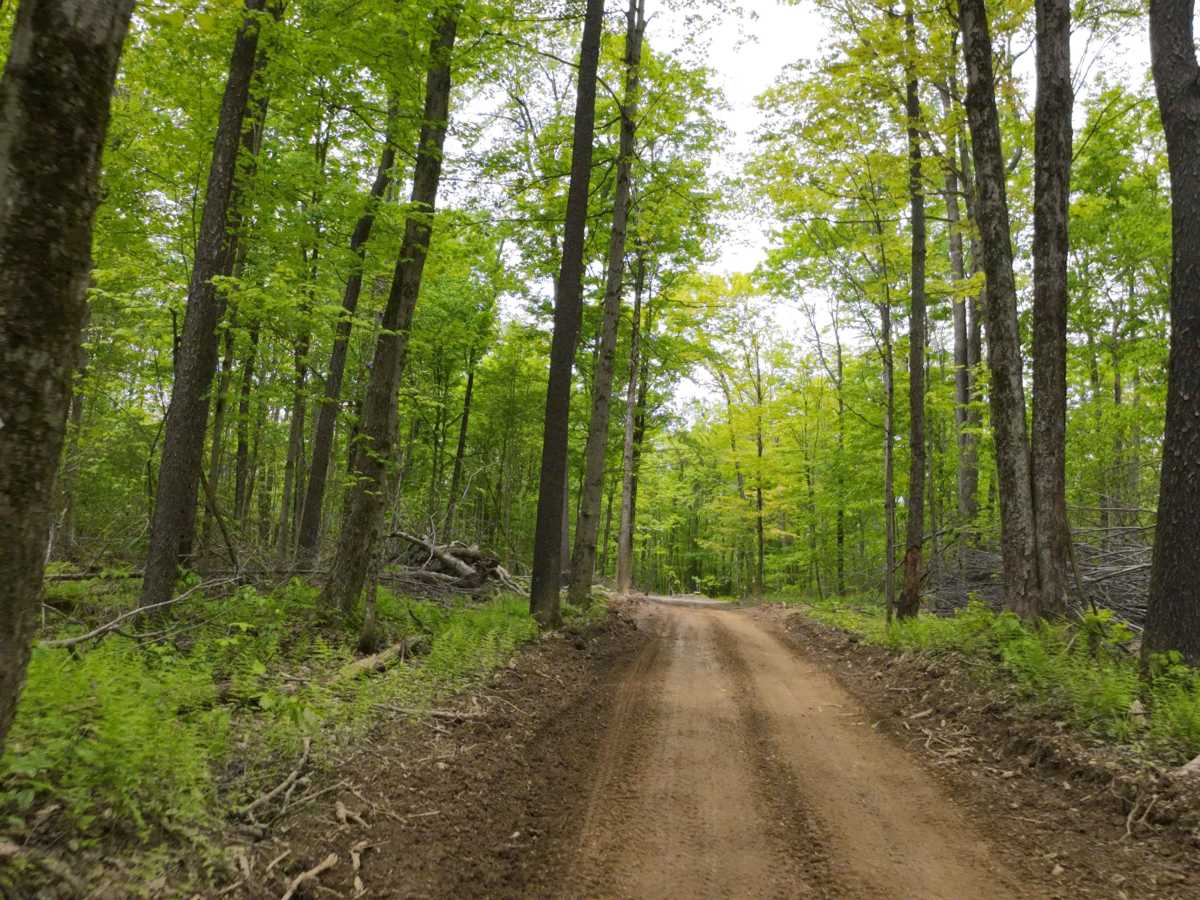 E Blue E9 trail photo