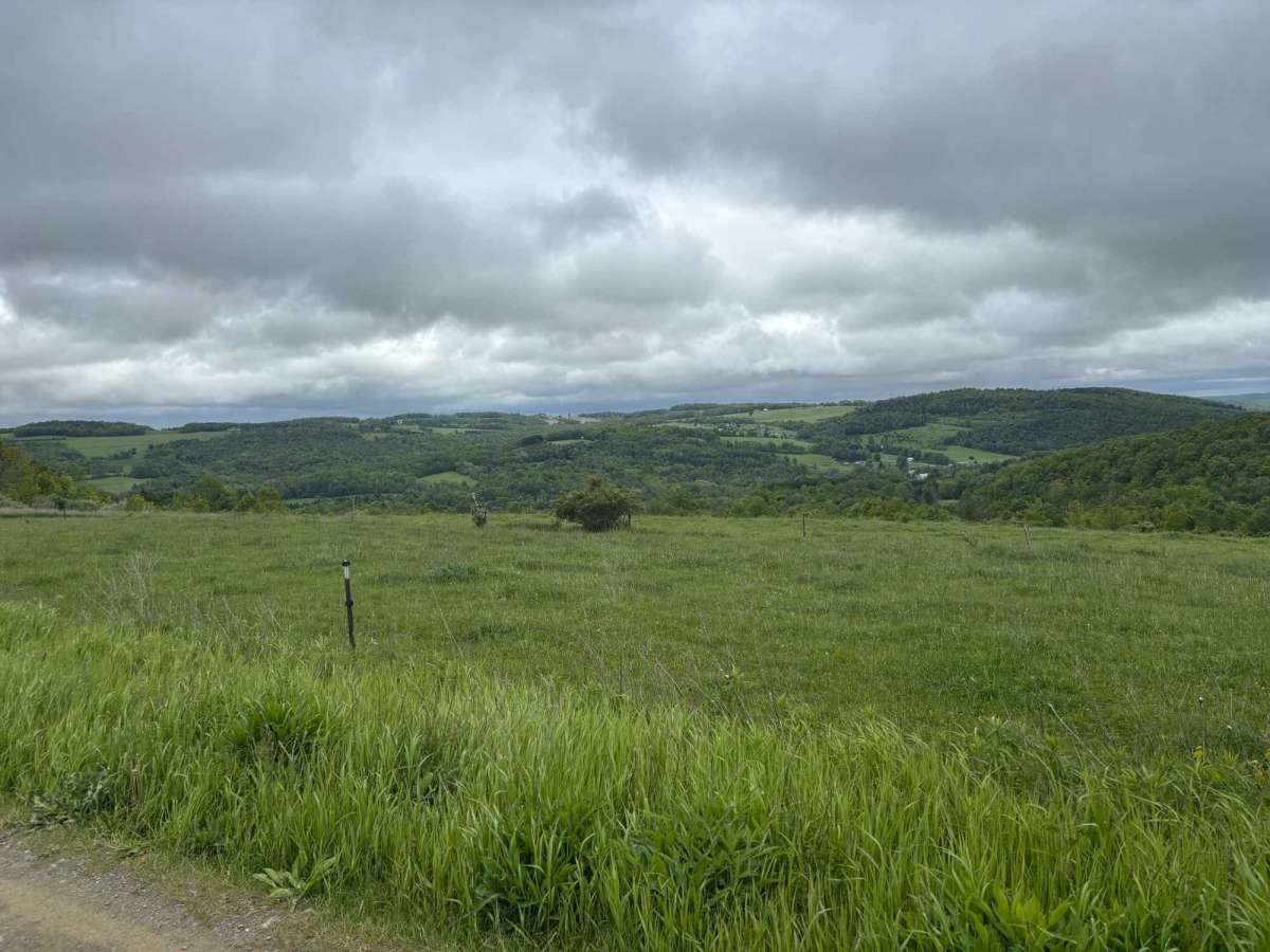 Morris Road photo 3