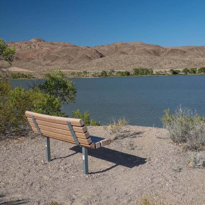 Near Upper Lake Trail Near Upper Lake Trail