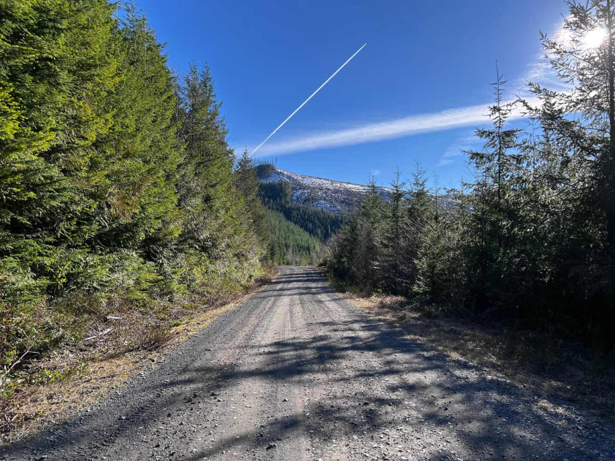 Green Mountain Road photo 5