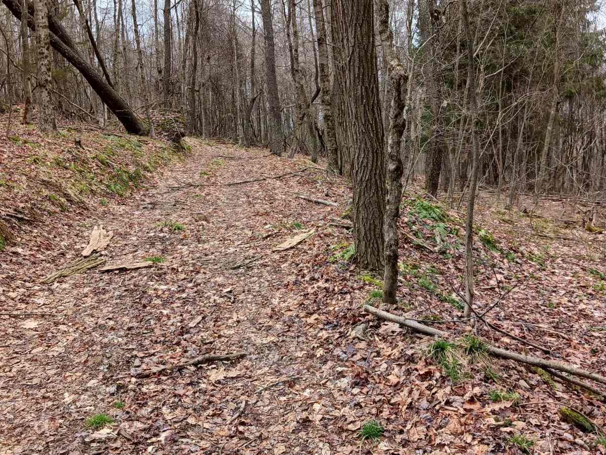 Trail 15A - Rock Run Recreation Area photo 5
