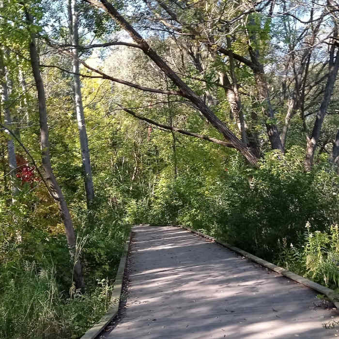 Near Georgian Trail