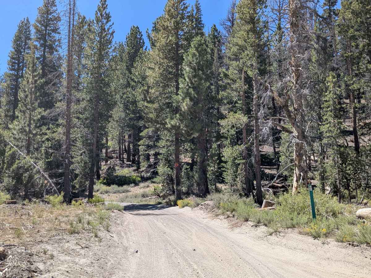 Dry Creek Road - FS3S22 trail photo