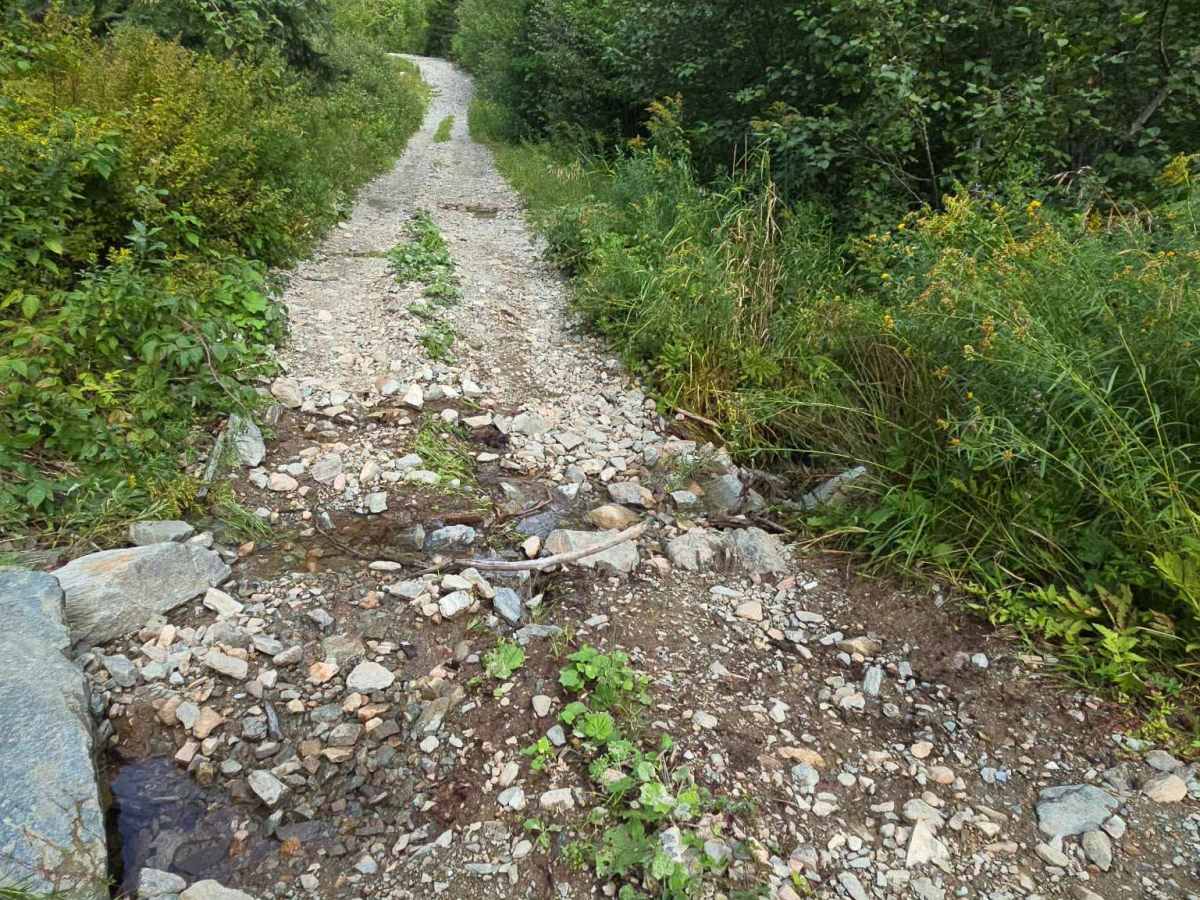 Rat Tail Brook Trail trail photo