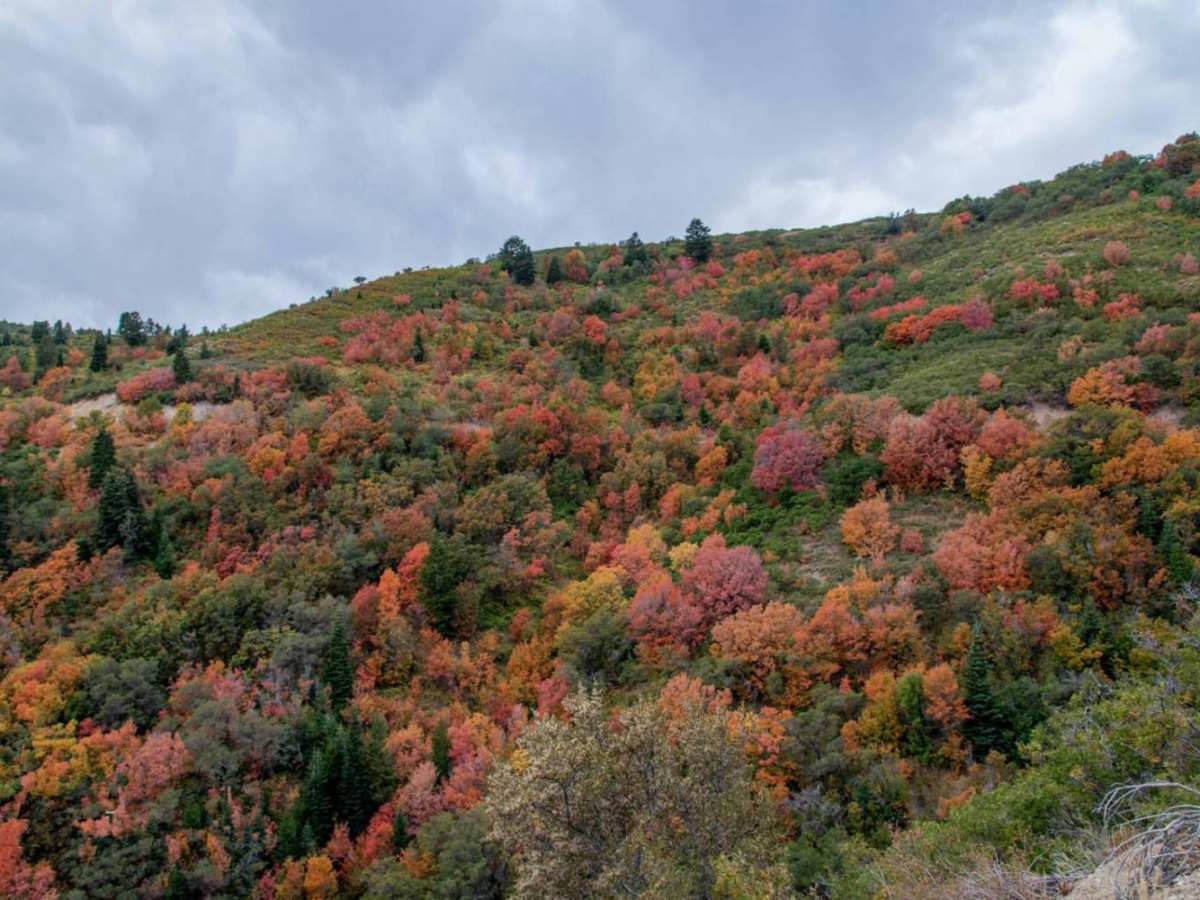 Butterfield Canyon photo 3