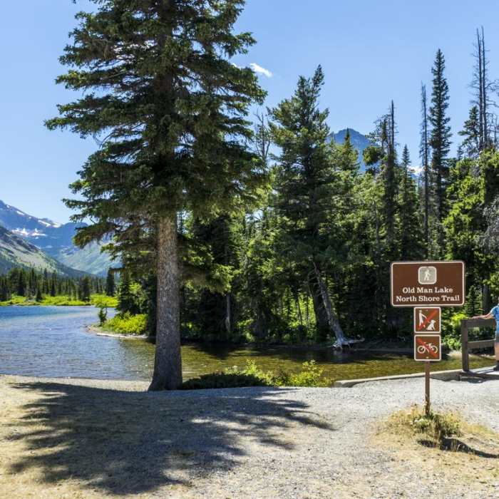 Near Two Medicine Lake Loop Hike