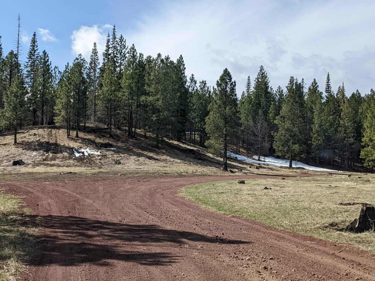Upper Cross District Trail - NF 103000 photo 3