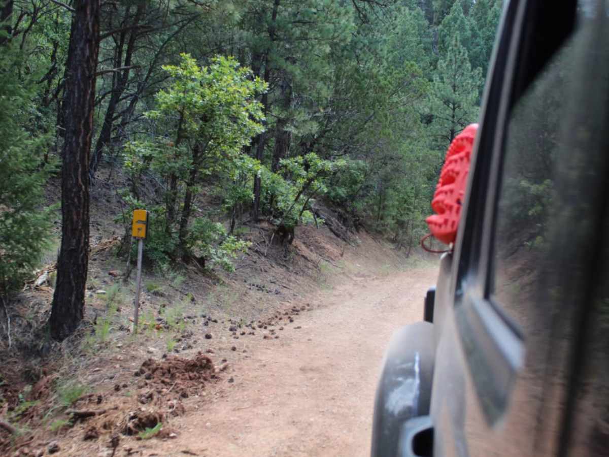 Westside Road - Mule Peak to Joplin Ridge trail photo