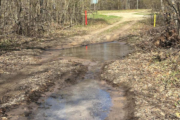 Blue Bear Trail