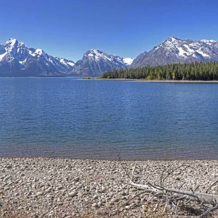 Near Heron Pond Hike
