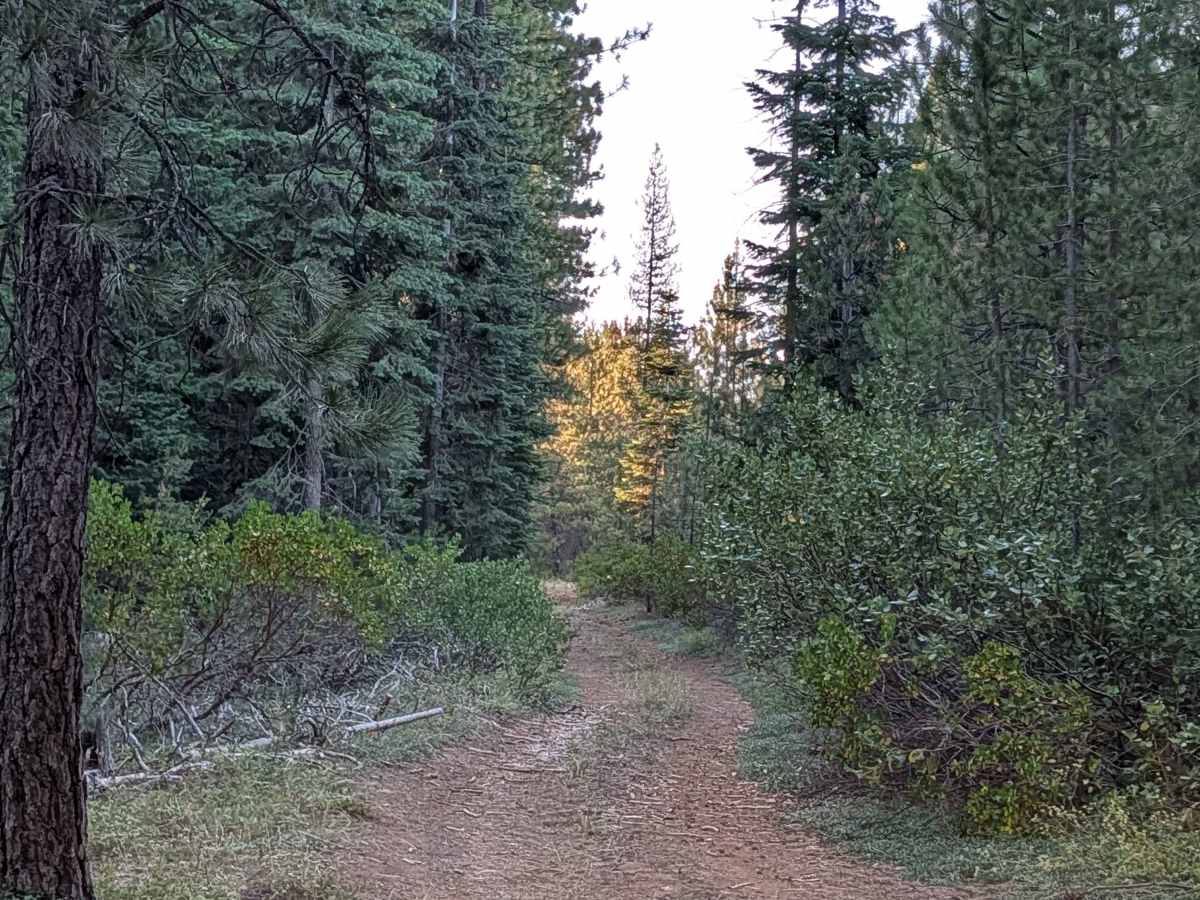 White Deer Lake - FS 41N40 photo 3