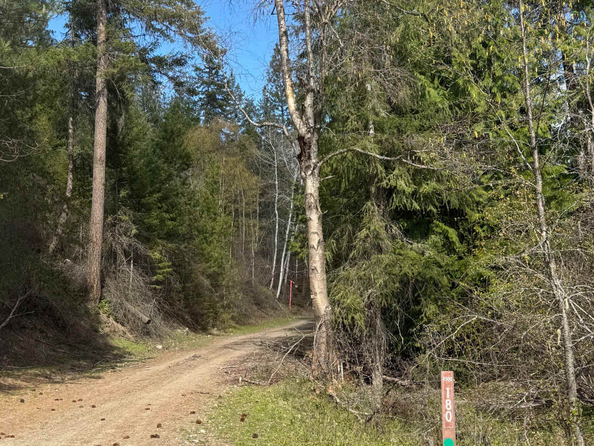 Deep Creek - FS 1500-180 trail photo