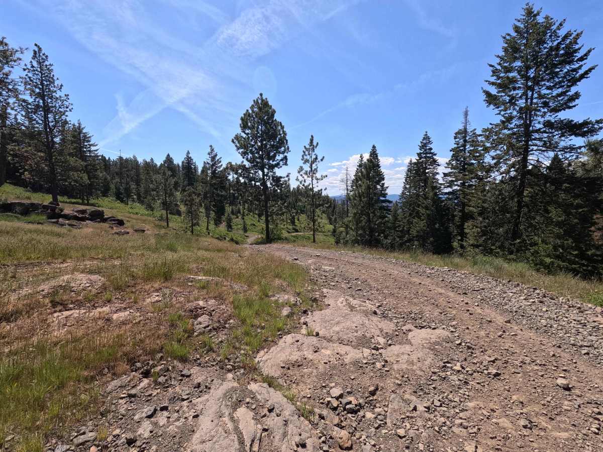 Mainline - Trail 201 photo 4