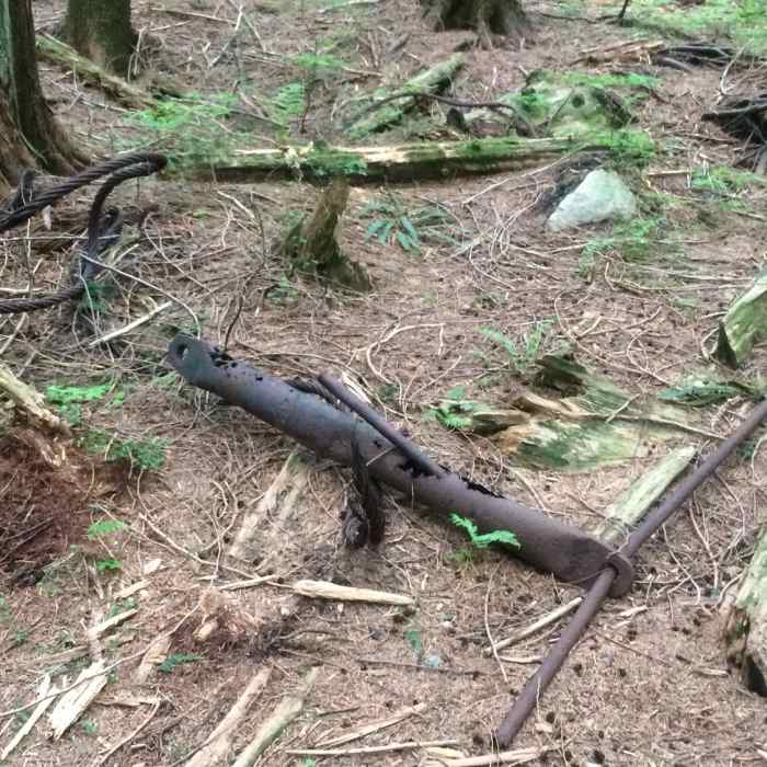 Near Brothers Creek Loop